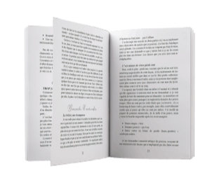 intérieur broché Égarée livre de romance SF fantasy young adult