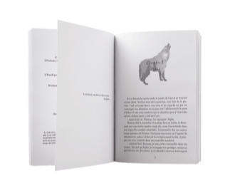 en-tête de chapitre de Chasse gardée livre d'urban fantasy pour ado